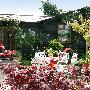 The Garden Cottage