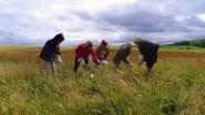 Festival Bowland 2016