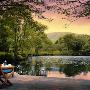Wolfen Mill Country Retreats