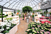 Barton Grange Garden Centre