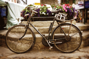 Cycling in Wyre